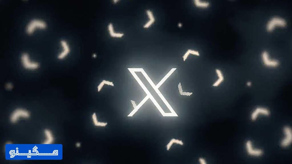 شبکه اجتماعی ایکس